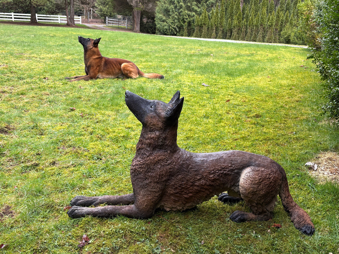 Cement Sculpting Clay vs Clay: Which One Works Outdoors?