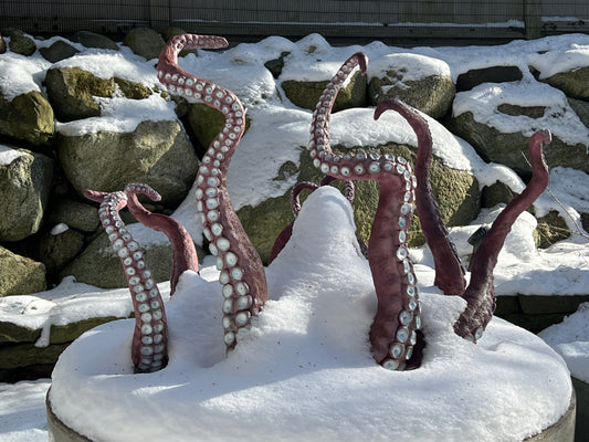 Outdoor sculpture made with Pal Tiya Premium surviving a Canadian winter