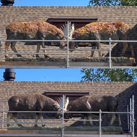 Iconic Yukon moose sculpture restored with Pal Tiya Premium cement clay
