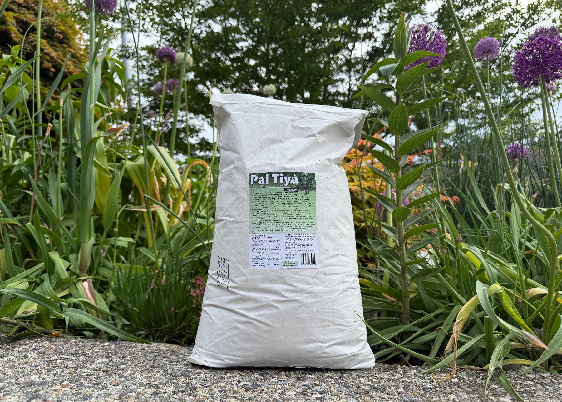 Pal Tiya Premium sculpting cement clay 40 lb display in Canada.