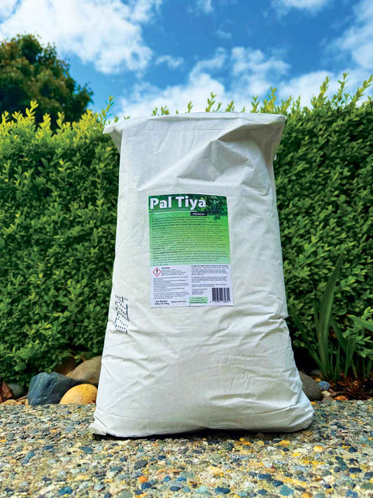 Pal Tiya Premium cement-based outdoor sculpture clay
