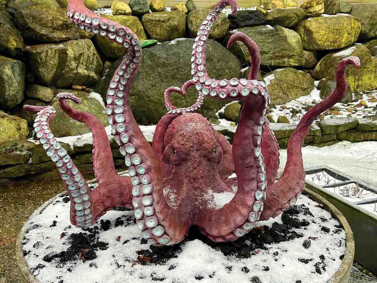 Giant Pacific octopus sculpture made with Pal Tiya Premium on a snowy surface with rocks in the background
